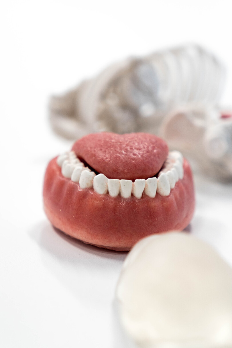 Realistic learning experiences with ‘lifelike’ mouth models – the future for dental students