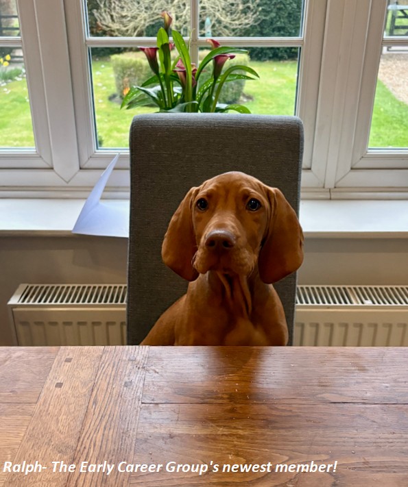 Canine Guidance….
